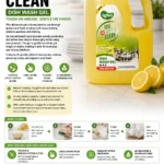 Dish Wash Gel 10X Power Clean
