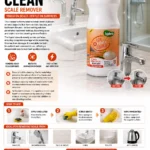 Scale Remover - 10X Power Clean